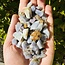 Hackmanite (Small) - Rough Raw Natural