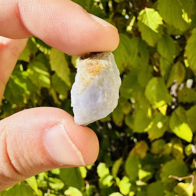 Hackmanite (Small) - Rough Raw Natural