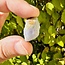 Hackmanite (Small) - Rough Raw Natural