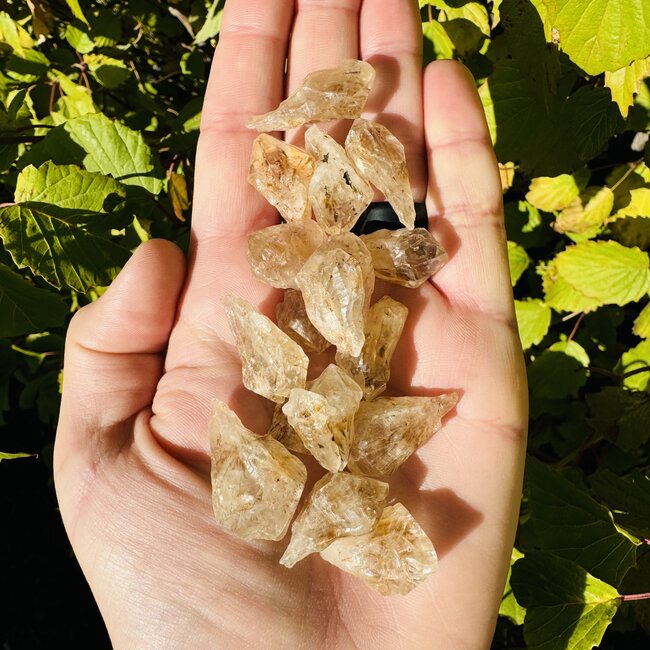 Goethite in Quartz Point
