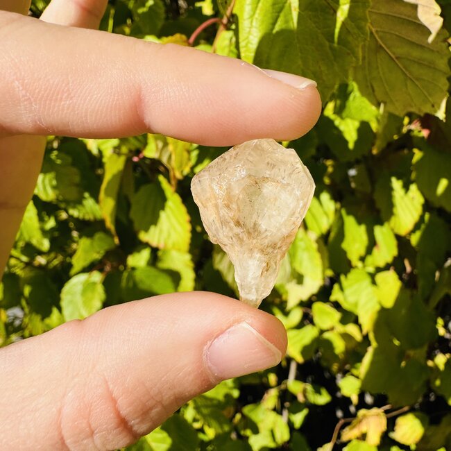 Goethite (Limonite) in Quartz Points