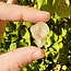 Goethite in Quartz Point