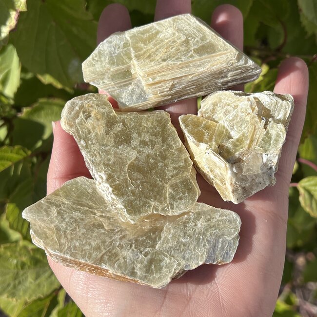 Gold Mica (Muscovite) - Rough Raw Natural - Medium (2-3.5")