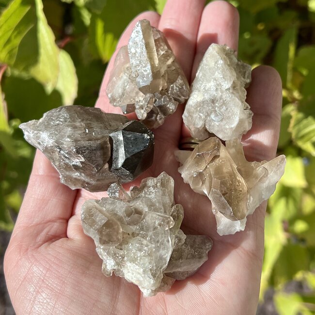 Smoky (Smokey) Quartz Clusters - Small (0.5-1.5") Rough Raw Natural