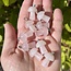 Rose Quartz Mini Mushroom Pendants