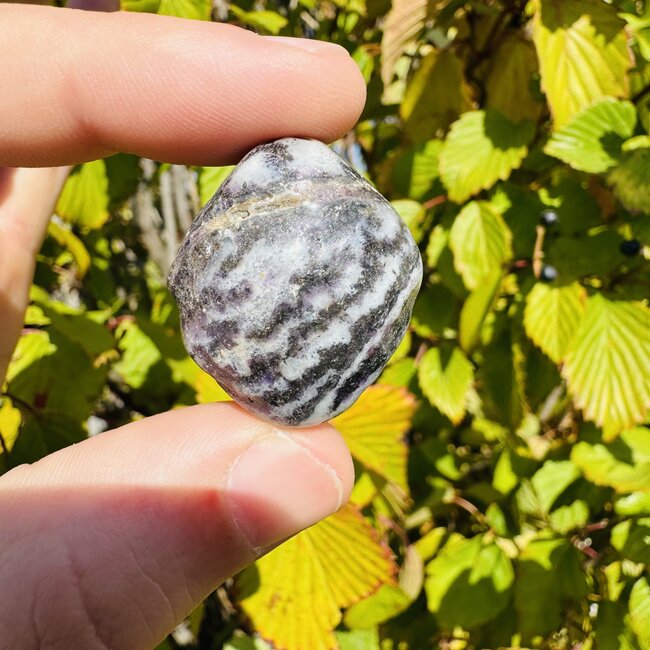 Fluorite Root - Tumbled