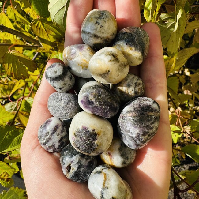 Fluorite Root - Tumbled