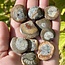 Ammonite - One Side Flat-Natural Rough Raw