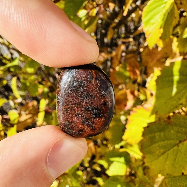 Bay of Stoer Suevite - Tumbled