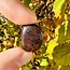 Bay of Stoer Suevite - Tumbled