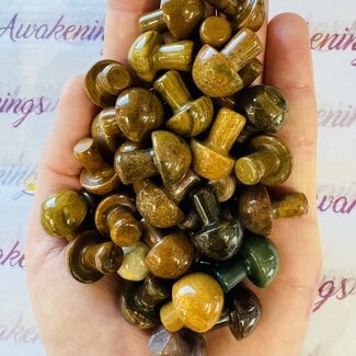 Ocean (Sea Sediment Marine) Jasper Mushrooms - Mini