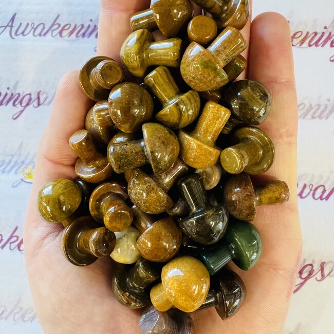 Ocean (Sea Sediment) Jasper Mushroom - Mini
