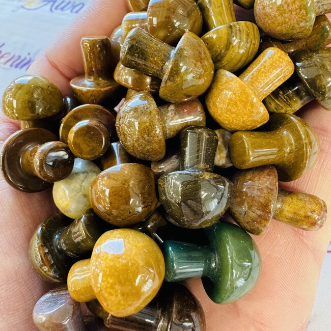 Ocean (Sea Sediment Marine) Jasper Mushrooms - Mini