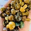 Ocean (Sea Sediment Marine) Jasper Mushrooms - Mini