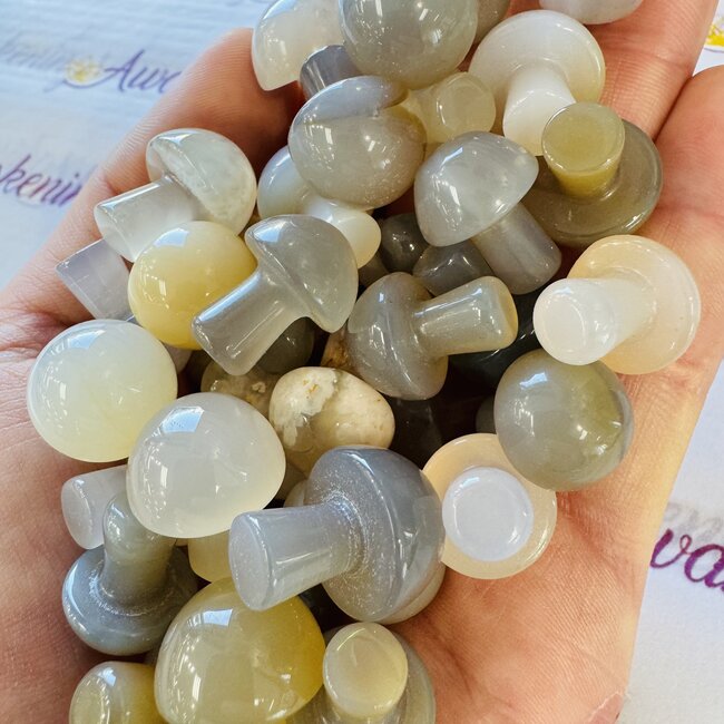 Grey Agate Mushrooms - Mini