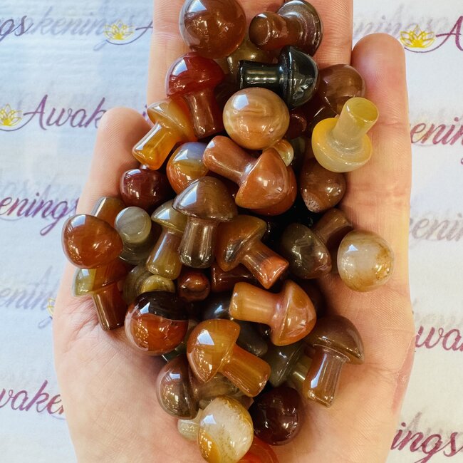 Carnelian Mushrooms - Mini