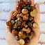 Carnelian Mushrooms - Mini