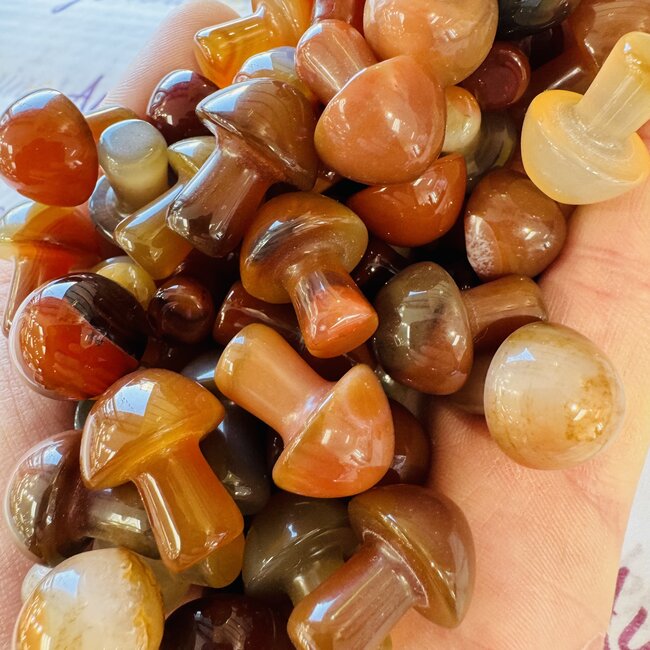 Carnelian Mushrooms - Mini