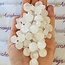 Clear (Crystal) Quartz Mushrooms - Mini