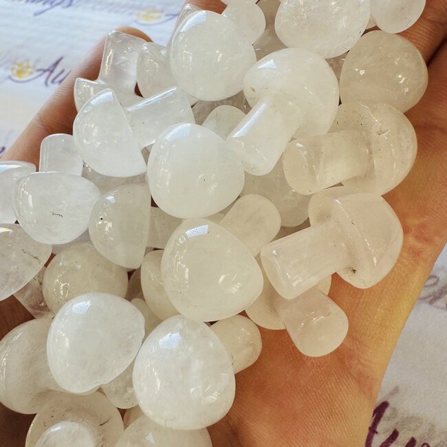 Clear (Crystal) Quartz Mushrooms - Mini