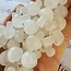 Clear (Crystal) Quartz Mushrooms - Mini