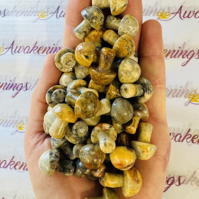 Crazy Lace Agate Mushrooms - Mini