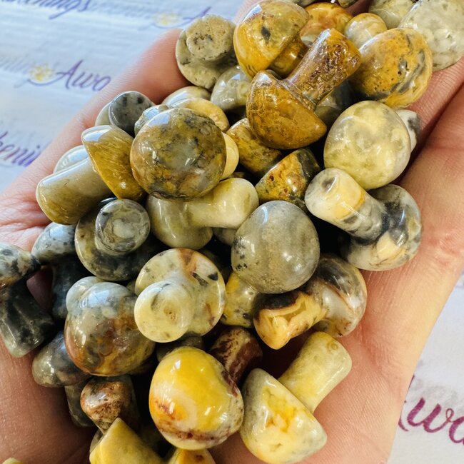 Crazy Lace Agate Mushrooms - Mini