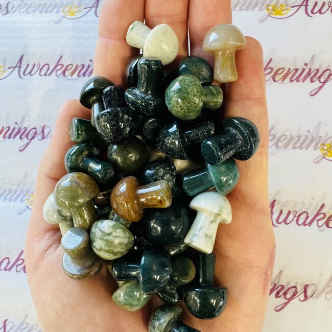 Moss Agate Mushroom- Mini