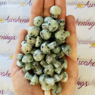 Kiwi Jasper (Amazon River Stone Sesame) Mushroom - Mini