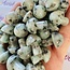 Kiwi Jasper (Amazon River Stone Sesame) Mushroom - Mini