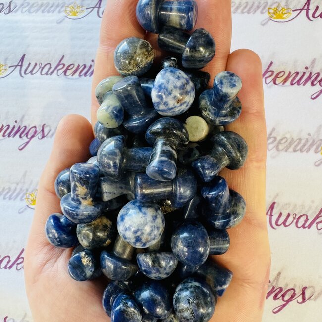 Sodalite Mushroom - Mini