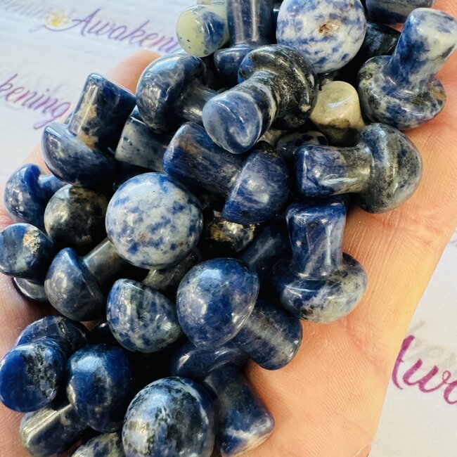 Sodalite Mushroom - Mini
