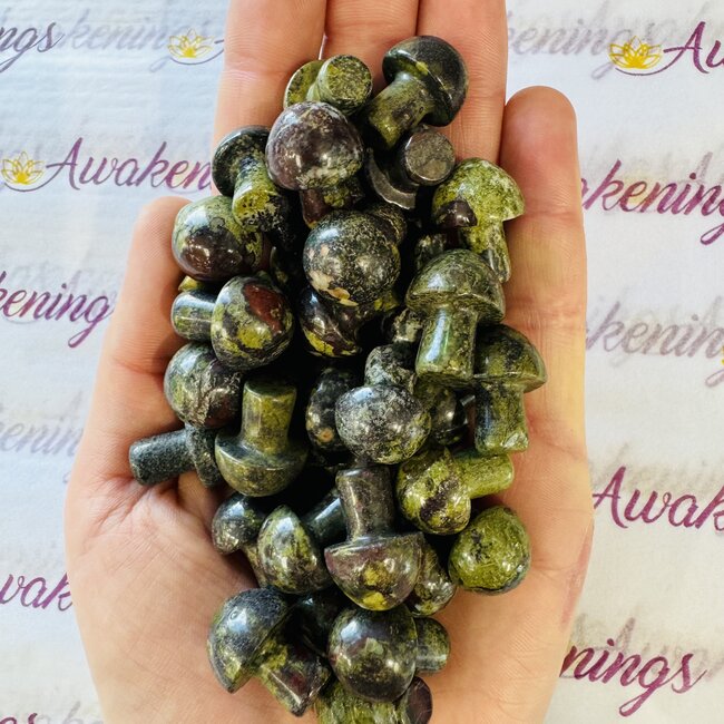 Dragon’s (Dragons Blood Stone) Jasper Mushrooms - Mini