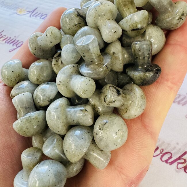 Labradorite Mushroom - Mini