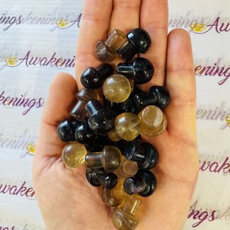 Rainbow Fluorite Mushroom- Mini