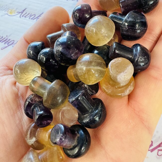 Rainbow Fluorite Mushroom- Mini