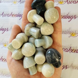 Trolleite Mushroom - Medium