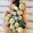 Trolleite Mushroom - Medium