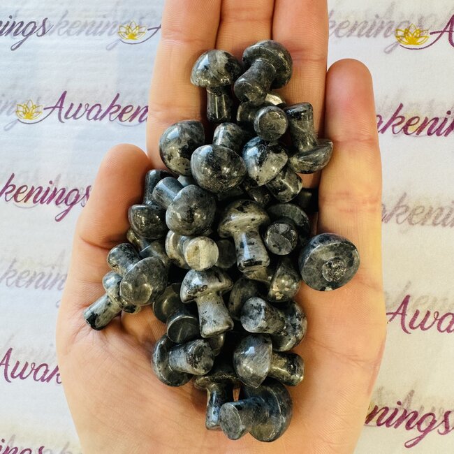 Black Labradorite (Larvakite) Mushroom - Mini