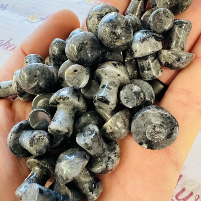 Black Labradorite (Larvakite) Mushroom - Mini