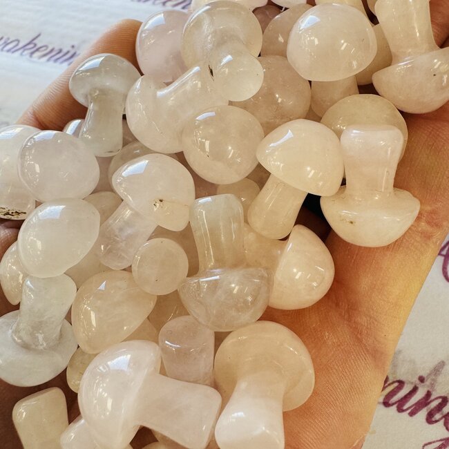 Rose Quartz Mushroom - Mini