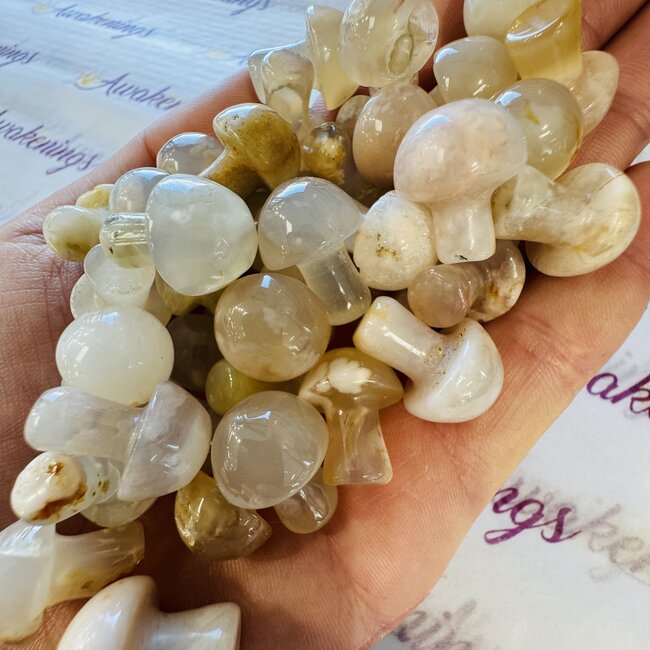 Flower Agate (Cherry Blossom) Mushrooms - Mini