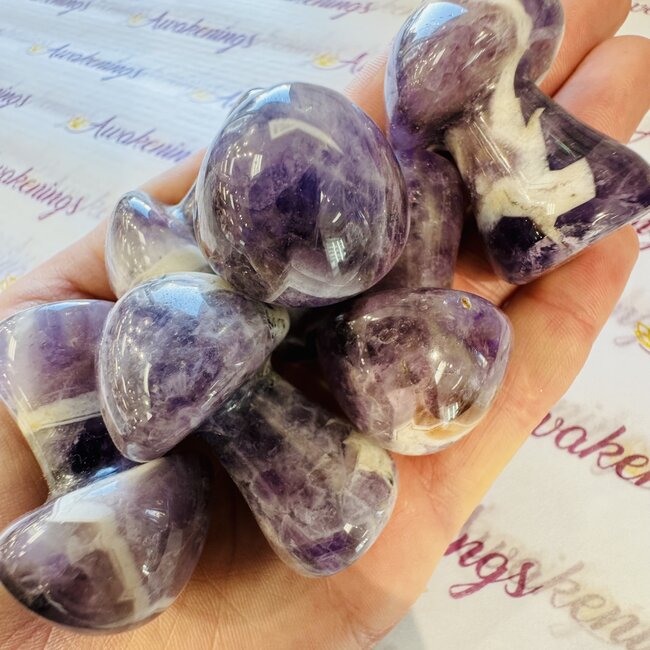 Chevron (Dream) Amethyst Mushrooms - Medium 2"