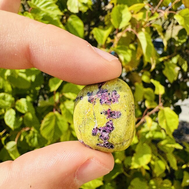 Stichtite in Serpentine (Atlantasite Atlantisite Tasmanite) - Tumbled