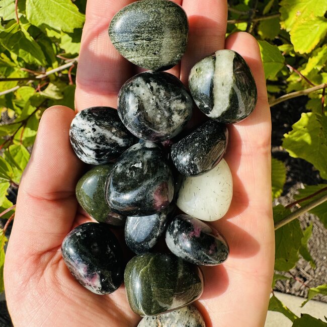 Aegirine (Acmite) - Tumbled