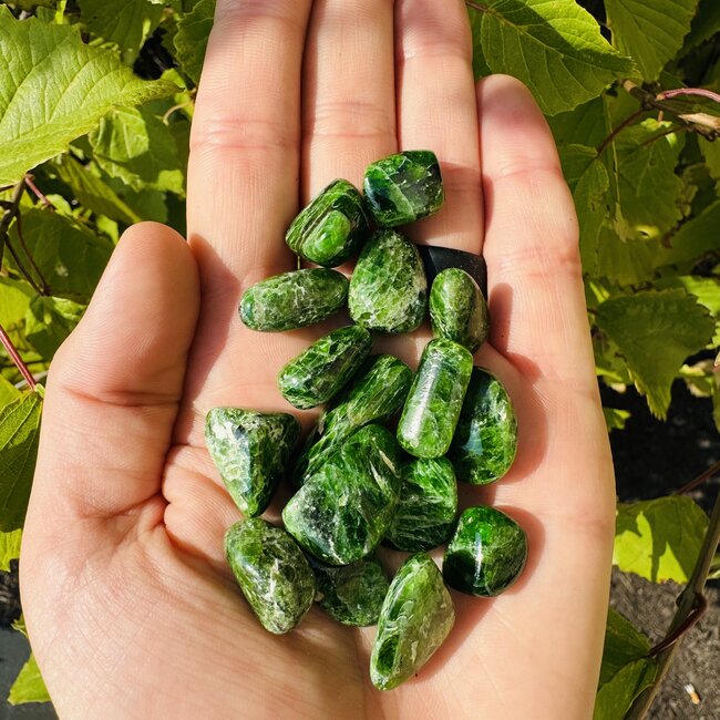 Chrome Diopside (AAA Grade) - Tumbled Smooth