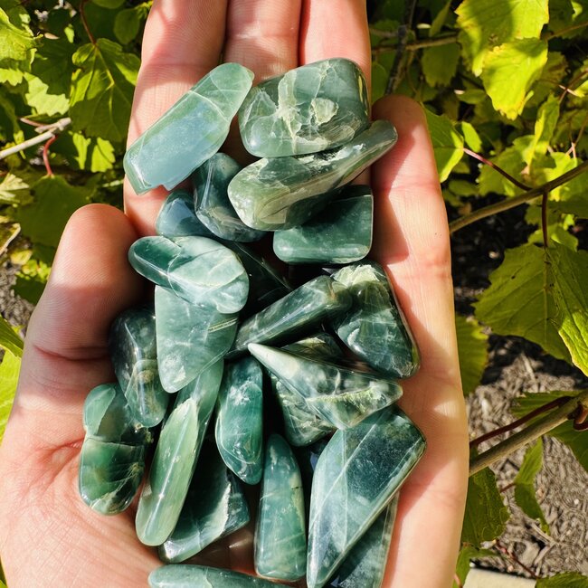 Guatemalan Jade Polished Flats Slabs Slices - Small