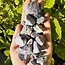 Kammererite - Rough Raw Natural