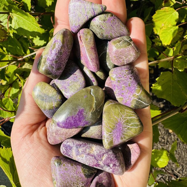 Atlantisite (Stichtite in Serpentine Tasmanite) - Tumbled