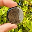Hypersthene Palm Flat Stone